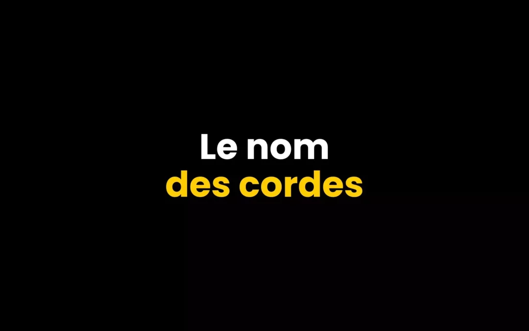 Le nom des cordes à la guitare