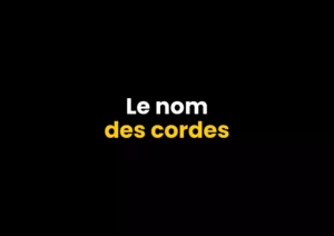 le nom des cordes à la guitare