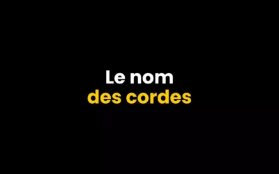 Le nom des cordes à la guitare