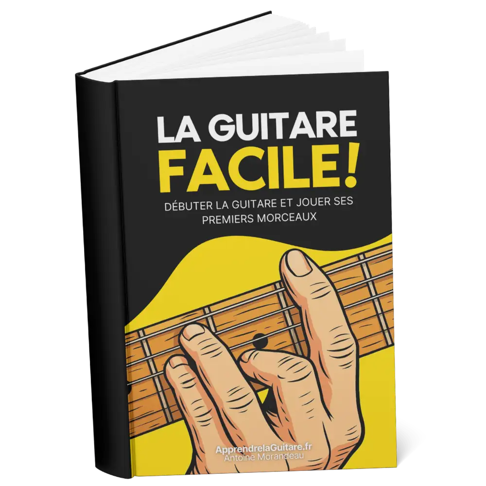 livre guitare